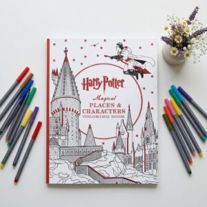 harry potter magical places & characters